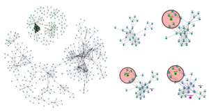 MagnetViz